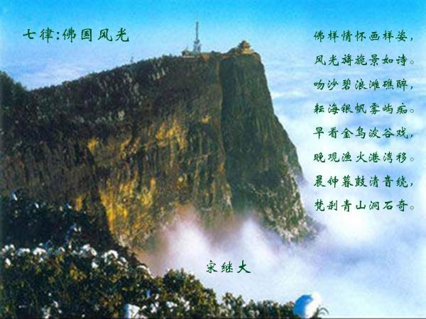 玄凤鹦鹉饿了一天用手喂根本不吃怎么办？游戏画面